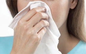 Alerta ante brote de influenza