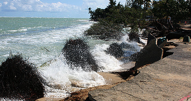 Paseo del Atlántico en Parcelas Suárez. (Fotos por Héctor J. Álvarez Colón. )