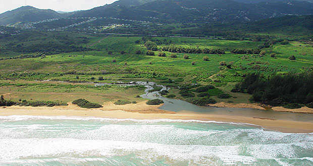 Vista de la playa en la finca San Miguel en Luquillo. (Foto por Iniciativa por un Desarrollo Sustentable)