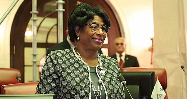 Nayda Venegas Brown, senadora del PNP. (Foto/Suministrada)