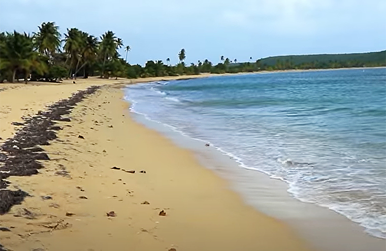 Playa 'Sun Bay' en Vieques. (Foto/Archivo) 