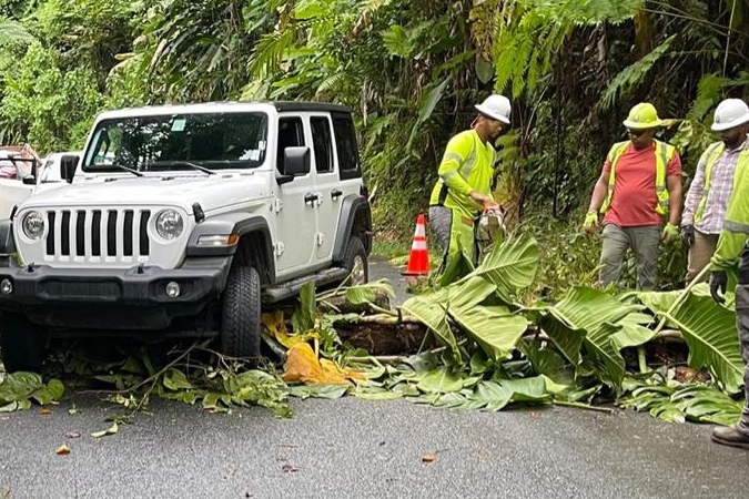 Rescatan más de 20 turistas que quedaron incomunicados en la Carr PR- 191 hacia el Yunque