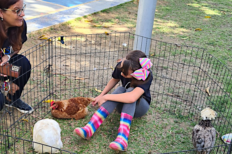 Sofía Michelle Marmolejos es una niña de ocho años, diagnosticada con autismo, que creó su propia microempresa de agricultura.  (Foto/Suministrada)